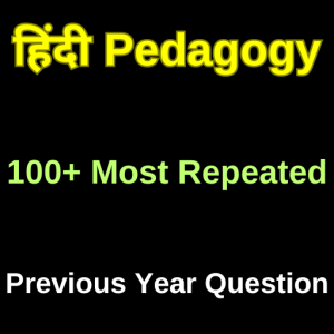 Hindi Pedagogy In Hindi